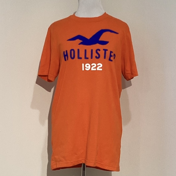 Hollister Other - Hollister Men's Short Sleeves Tee Shirt